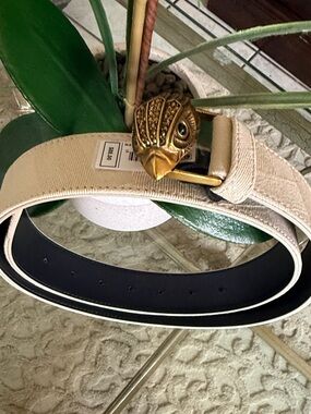 Kurt Geiger Beige Belt with Gold Turtle Buckle